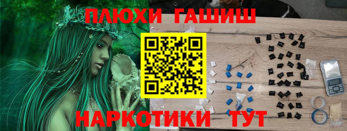 Гашиш индика сатива  ГАШИШ Изолятор  как найти   Заречный  Вход с VPN 