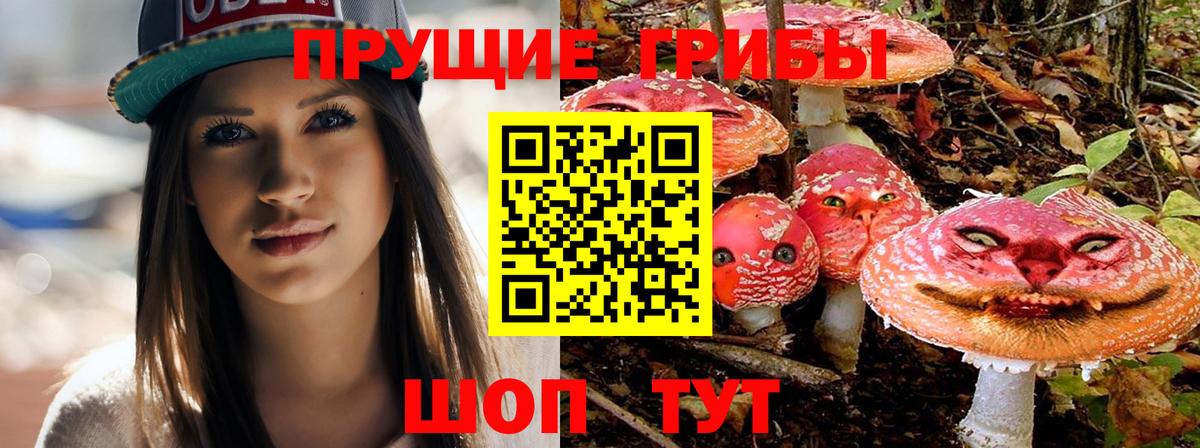 Заречный  Галлюциногенные грибы Psilocybine cubensis  Вход с VPN 
